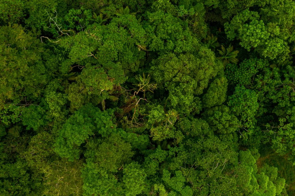 Energía y minas